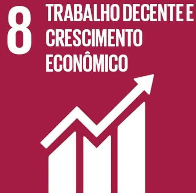 100% das ações executadas (indicador qualitativo)