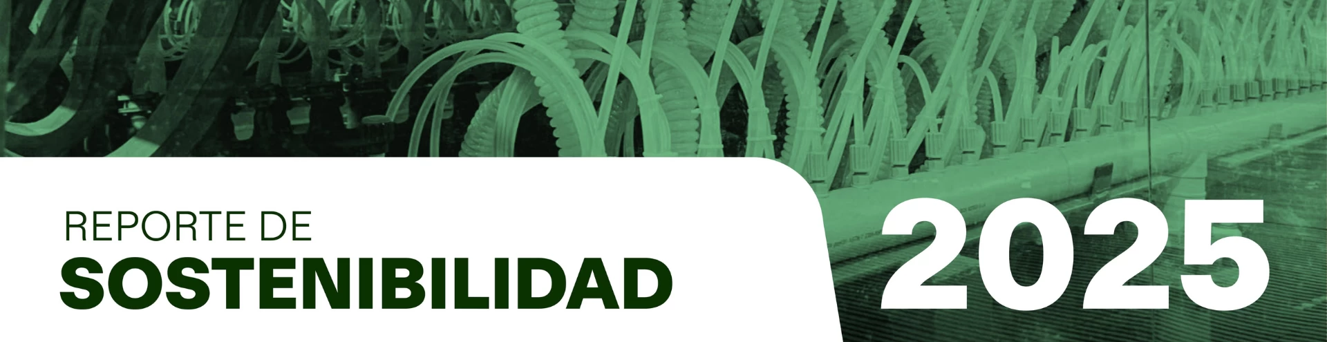 Unipar presenta su Reporte de Sostenibilidad 2025 con resultados que superan el cumplimiento de sus compromisos