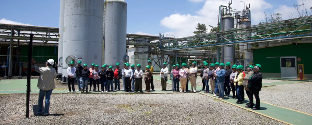 Programa Fábrica Aberta completa 40 anos