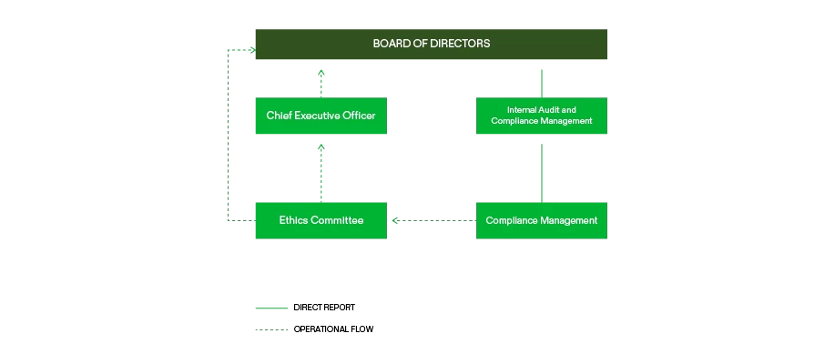 Compliance Structure and Governance