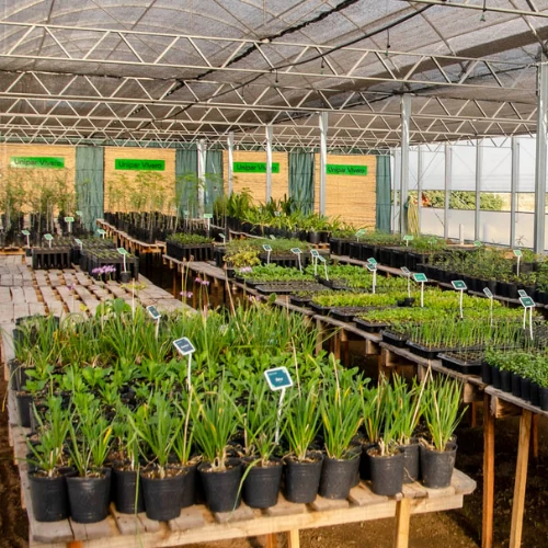 Unipar Vivero
